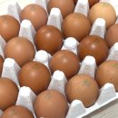 구성양계장 이미지