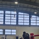 골든복싱 이미지