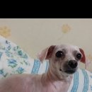 동해유공타워 이미지