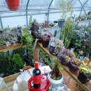 더 스테이584 이미지