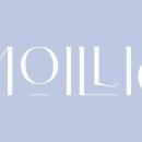 다모아인터넷플라자 이미지