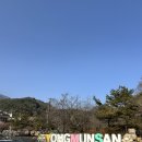 스테이 서린 | [기록] 나를 위한 1박 2일의 쉼표, 양평 용문사 휴식형 템플스테이 후기