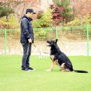 권순호농장 이미지