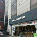 대양클리닉 | 합정 미용실 호근 부원장님께 아베다 보태니컬 클리닉 받은 후기, 살리고헤어