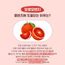 오렌지빠 이미지