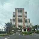 에스지빌라앤호텔 사우나 | 다낭 퓨전리조트앤빌라ㆍ오션뷰 풀킹스위트룸 내돈내산 추천 후기♥