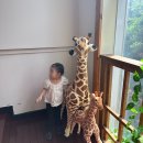 제주오감 | [밤비니 오감정원]-제주원데이클래스 후기