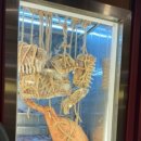 일출로,성산등용로 이미지