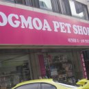 <b>도그모아</b> 방문후기♡