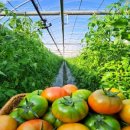 윤슬농장 이미지