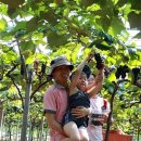 비봉내마을 이미지