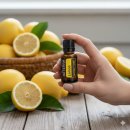 에센셜 | 도테라 에센셜 오일 레몬수 챌린지 후기