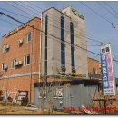 완도대교 호스텔 티스토리