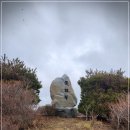 너이버 | 네이버 사용법 검색 포털 서비스 기능 총정리 10월 8일