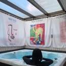 위드독애견스파풀빌라 이미지