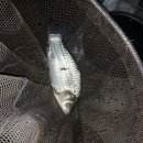 감악산낚시터 이미지