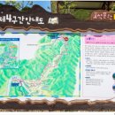 효석문학100리길 제4구간 이미지