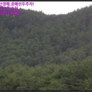 울진군울진읍신림보건진료소 이미지