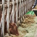 김진태 농가 이미지