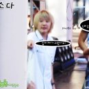 거보 이미지