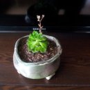 만안유치원 이미지