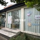 탐라중학교 이미지