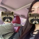 란제리하우스 | W10. 그랜드하우스 주안 홀패키지 촬영드레스 셀렉_이사벨라제이