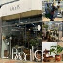 세븐일레븐청라린점 | [인천 서구 꽃집] ‘부들’ 청라 감성 꽃집 다녀온 후기