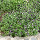 황용농장 이미지