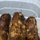 우리손 영암농장 이미지