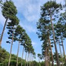 놀부당구장 이미지