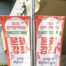 우쿨렐레(관저문예회관) 이미지