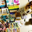 (주)케이소프트 이미지