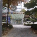 크린에어존