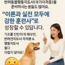 케닉스 아카데미 네이버블로그
