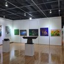 제45회 현대미술대전 수상작 개관 이미지