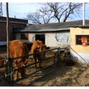 두소경로당 이미지