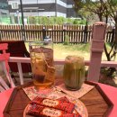 개밥주는여자 이미지