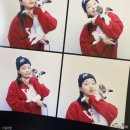 안녕가비