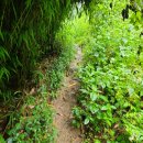 만지작하우스민박 이미지