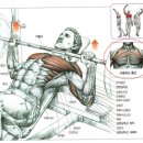 DS휘트니스센터 용운점 이미지
