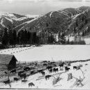 추장목장 이미지