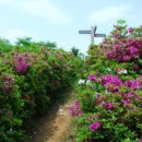 부석사 공중화장실 이미지