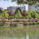 건국대학교 이미지