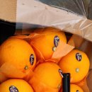 삼동초등학교 이미지