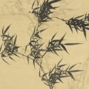 향기나라사랑이 이미지