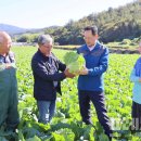 해남군-11 이미지