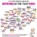 제주지투어