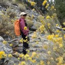 Momyer Creek Trail to Alger Creek Camp 10-10-2026 이미지