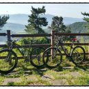 팔조령 정상 이미지